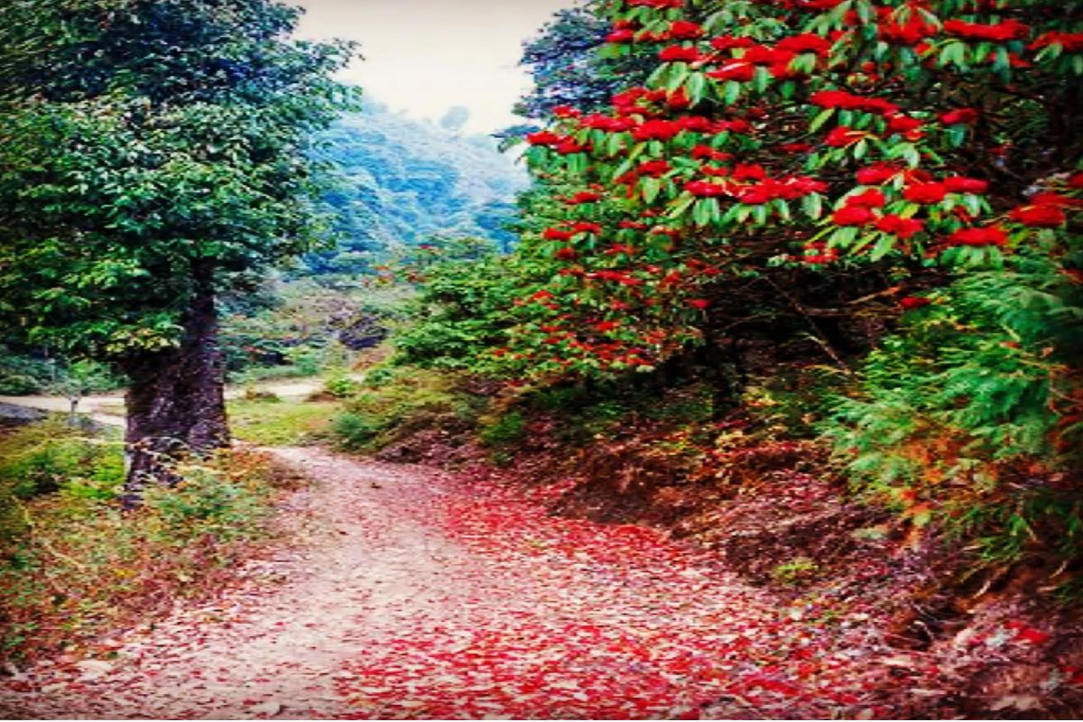 Uttarakhand Tour Gallery